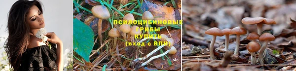 марки nbome Покров