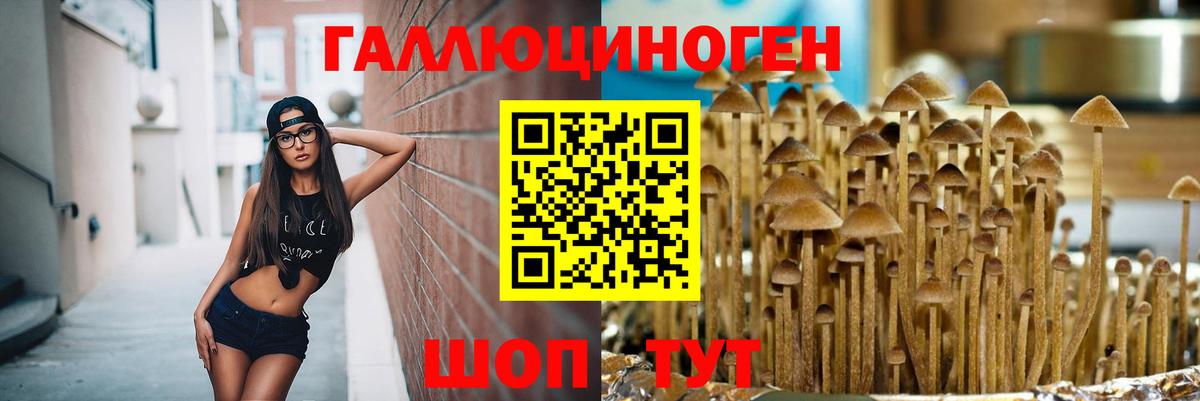 Галлюциногенные грибы прущие грибы  Псилоцибиновые грибы Magic Shrooms  Азнакаево 