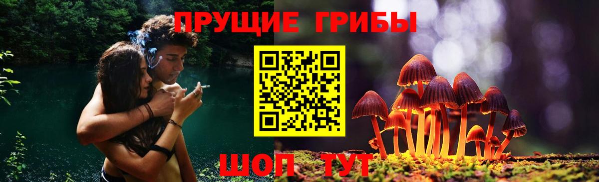 Галлюциногенные грибы MAGIC MUSHROOMS  Вход с VPN  Азнакаево 